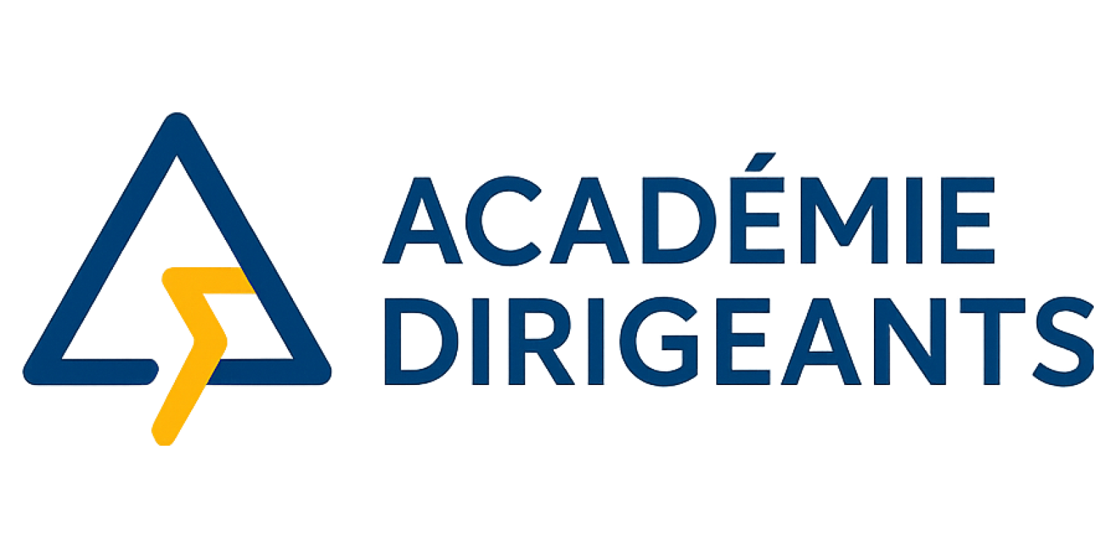 Académie Dirigeants