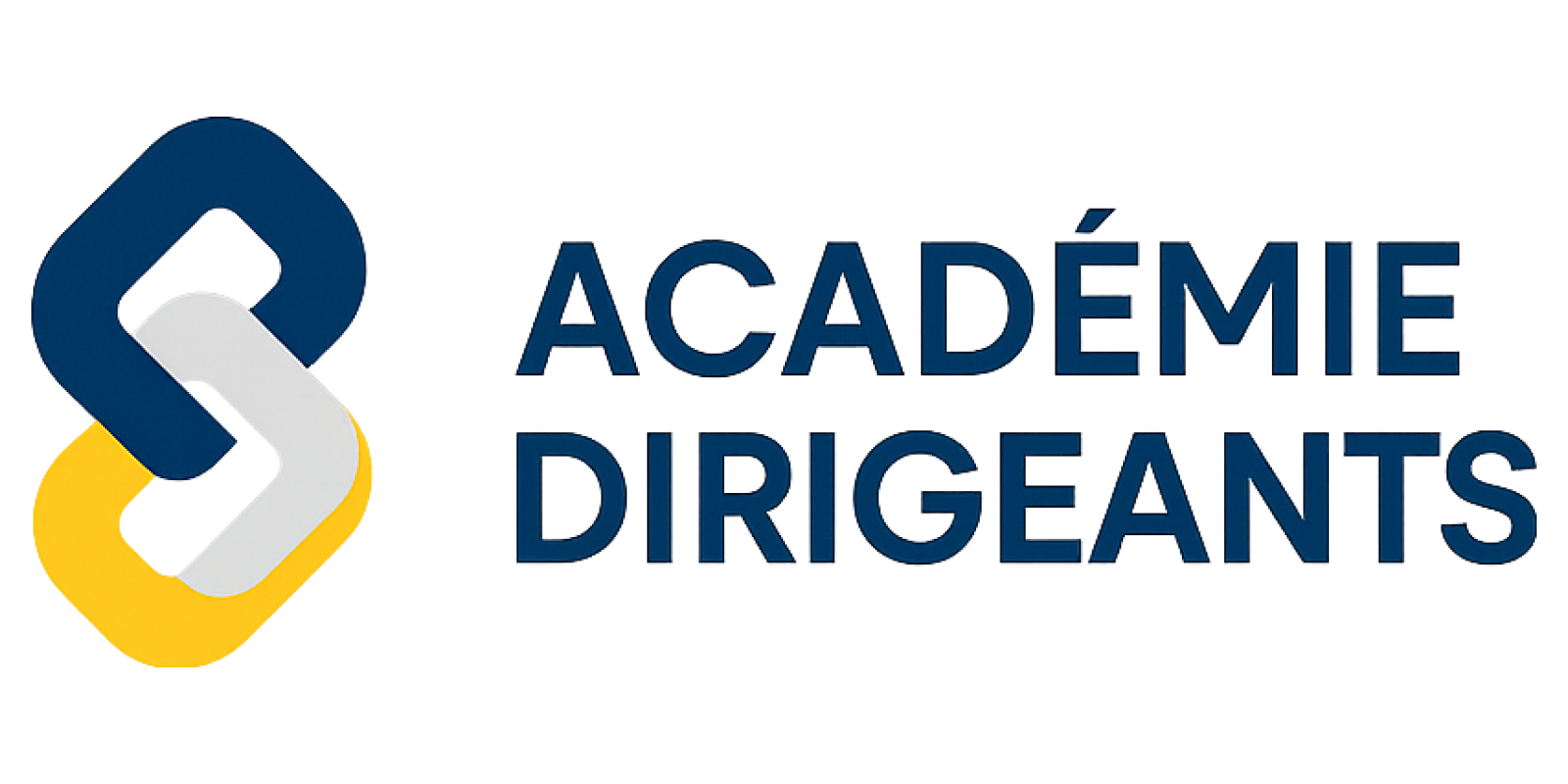 Académie Dirigeants